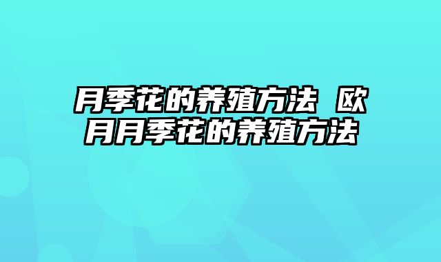 月季花的养殖方法 欧月月季花的养殖方法