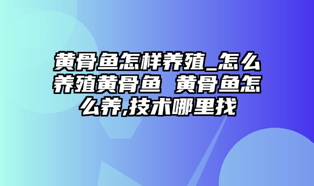 黄骨鱼怎样养殖_怎么养殖黄骨鱼 黄骨鱼怎么养,技术哪里找