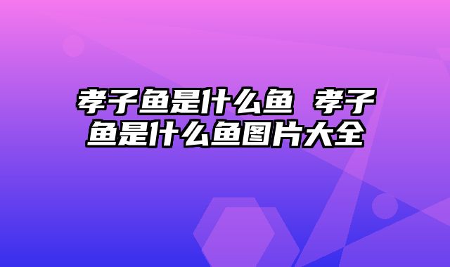 孝子鱼是什么鱼 孝子鱼是什么鱼图片大全