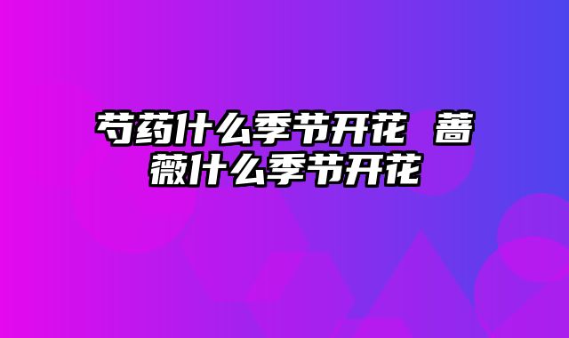 芍药什么季节开花 蔷薇什么季节开花