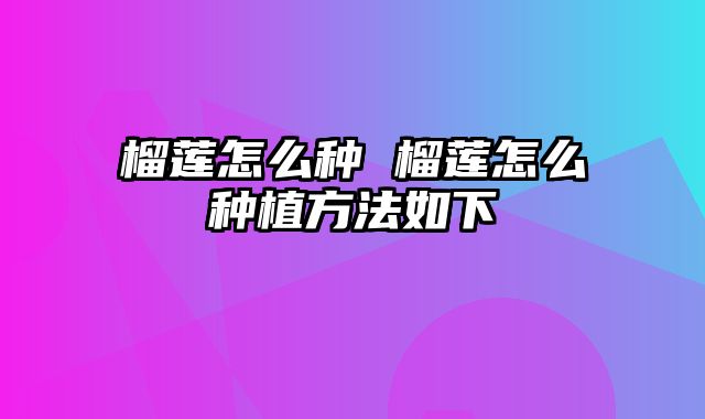 榴莲怎么种 榴莲怎么种植方法如下