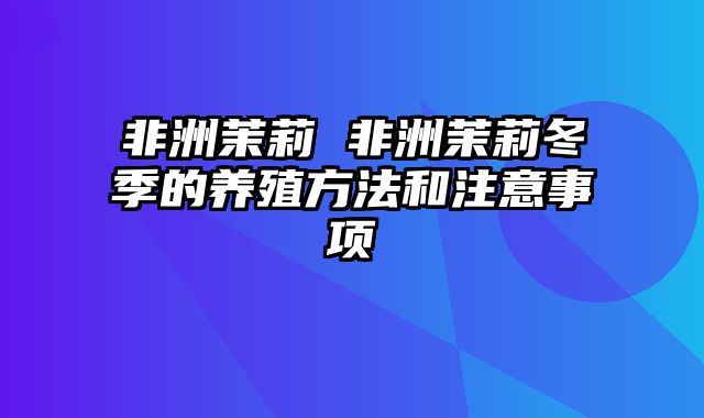 非洲茉莉 非洲茉莉冬季的养殖方法和注意事项