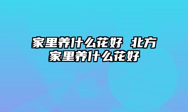家里养什么花好 北方家里养什么花好