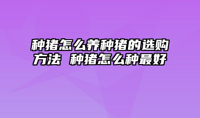 种猪怎么养种猪的选购方法 种猪怎么种最好