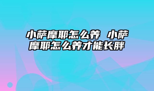 小萨摩耶怎么养 小萨摩耶怎么养才能长胖