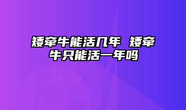 矮牵牛能活几年 矮牵牛只能活一年吗