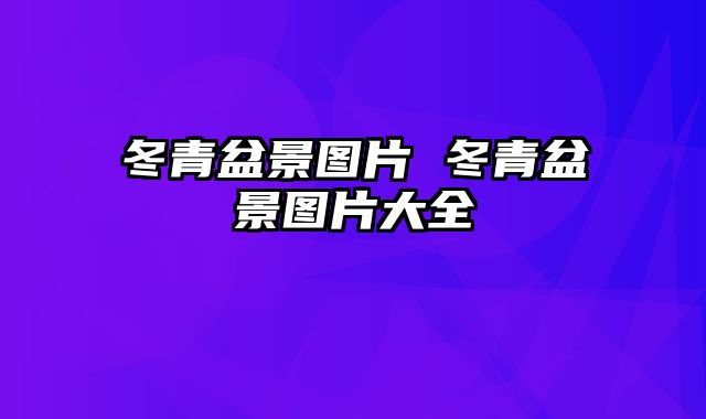 冬青盆景图片 冬青盆景图片大全