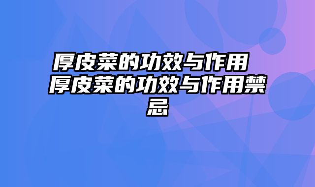 厚皮菜的功效与作用 厚皮菜的功效与作用禁忌