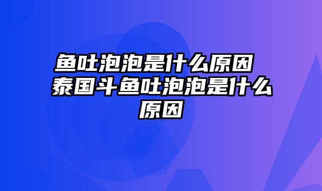 鱼吐泡泡是什么原因 泰国斗鱼吐泡泡是什么原因