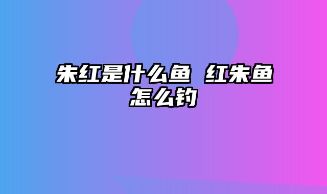 朱红是什么鱼 红朱鱼怎么钓