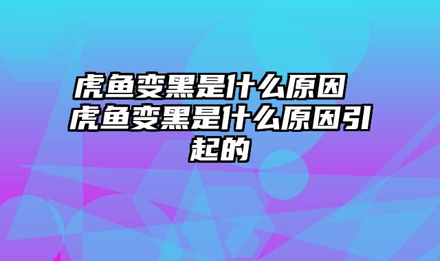 虎鱼变黑是什么原因 虎鱼变黑是什么原因引起的