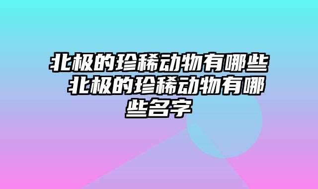 北极的珍稀动物有哪些 北极的珍稀动物有哪些名字