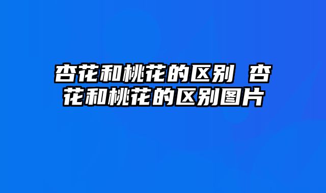 杏花和桃花的区别 杏花和桃花的区别图片