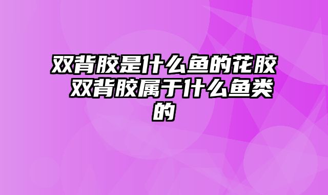 双背胶是什么鱼的花胶 双背胶属于什么鱼类的