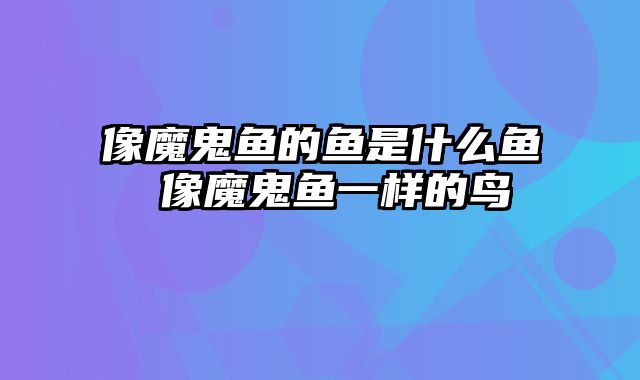 像魔鬼鱼的鱼是什么鱼 像魔鬼鱼一样的鸟