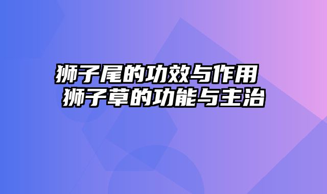 狮子尾的功效与作用 狮子草的功能与主治