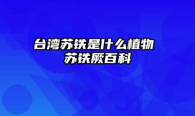 台湾苏铁是什么植物 苏铁厥百科