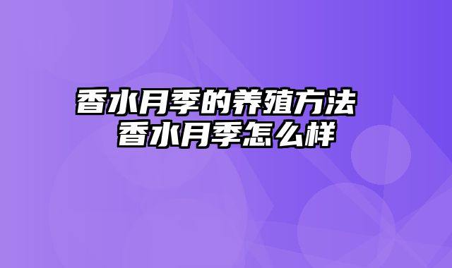 香水月季的养殖方法 香水月季怎么样