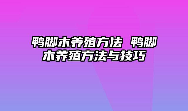 鸭脚木养殖方法 鸭脚木养殖方法与技巧