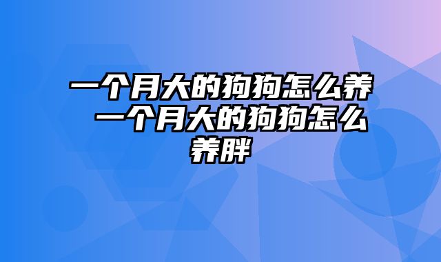 一个月大的狗狗怎么养 一个月大的狗狗怎么养胖