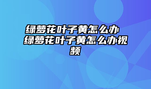 绿萝花叶子黄怎么办 绿萝花叶子黄怎么办视频