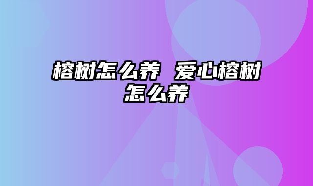 榕树怎么养 爱心榕树怎么养