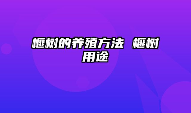 榧树的养殖方法 榧树用途