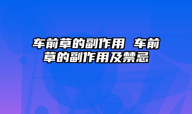 车前草的副作用 车前草的副作用及禁忌