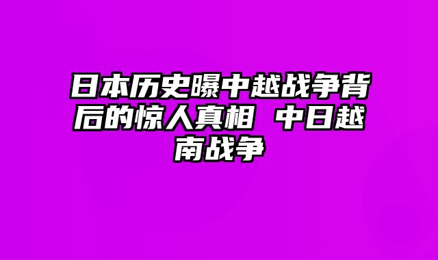 日本历史曝中越战争背后的惊人真相 中日越南战争 