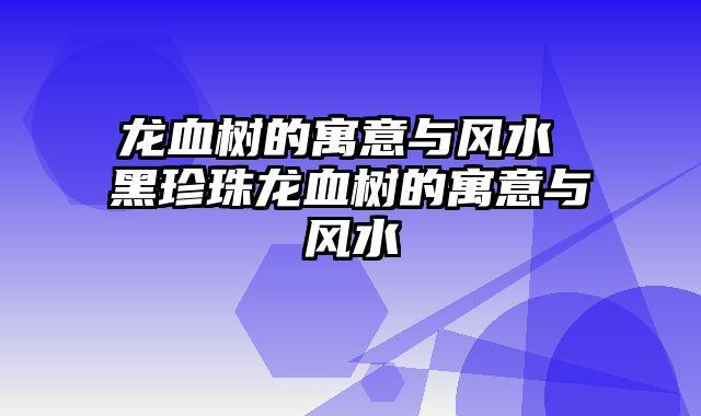 龙血树的寓意与风水 黑珍珠龙血树的寓意与风水