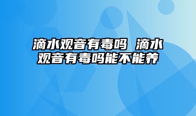 滴水观音有毒吗 滴水观音有毒吗能不能养
