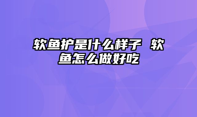 软鱼护是什么样子 软鱼怎么做好吃