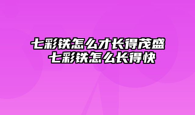 七彩铁怎么才长得茂盛 七彩铁怎么长得快