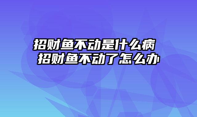 招财鱼不动是什么病 招财鱼不动了怎么办
