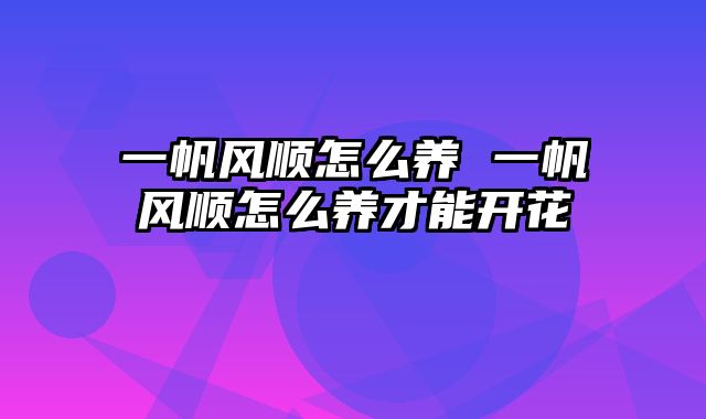 一帆风顺怎么养 一帆风顺怎么养才能开花