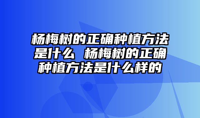 杨梅树的正确种植方法是什么 杨梅树的正确种植方法是什么样的