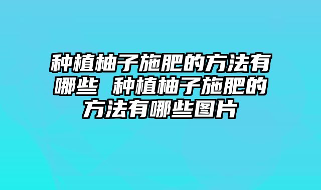种植柚子施肥的方法有哪些 种植柚子施肥的方法有哪些图片 