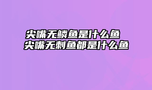 尖嘴无鳞鱼是什么鱼 尖嘴无刺鱼都是什么鱼