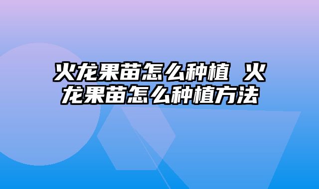 火龙果苗怎么种植 火龙果苗怎么种植方法