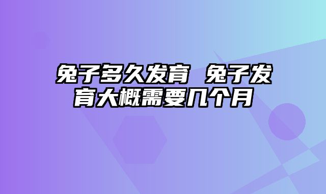 兔子多久发育 兔子发育大概需要几个月
