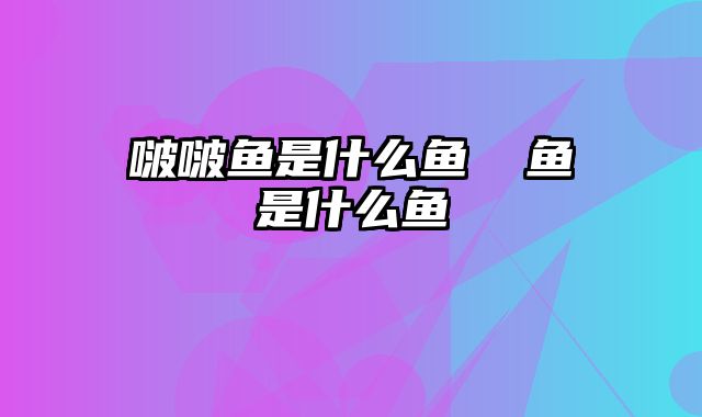 啵啵鱼是什么鱼 鳡鱼是什么鱼