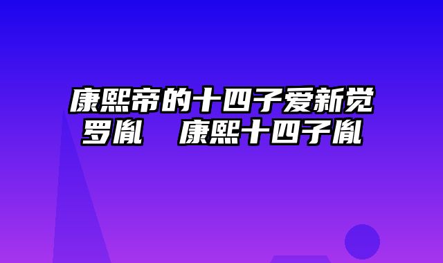 康熙帝的十四子爱新觉罗胤禵 康熙十四子胤禩