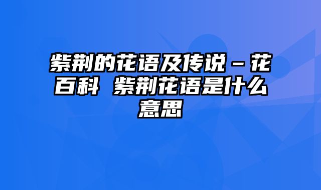 紫荆的花语及传说–花百科 紫荆花语是什么意思