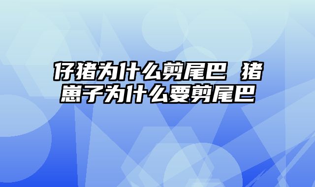 仔猪为什么剪尾巴 猪崽子为什么要剪尾巴