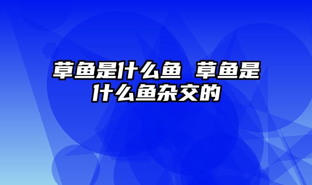 草鱼是什么鱼 草鱼是什么鱼杂交的