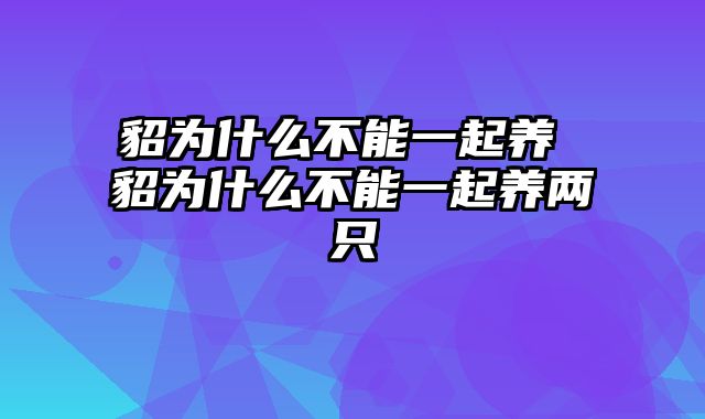 貂为什么不能一起养 貂为什么不能一起养两只