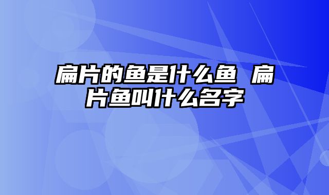 扁片的鱼是什么鱼 扁片鱼叫什么名字