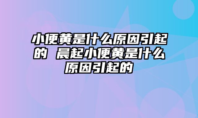 小便黄是什么原因引起的 晨起小便黄是什么原因引起的