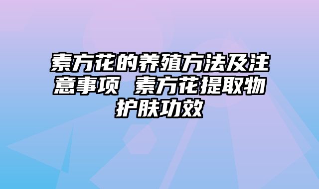 素方花的养殖方法及注意事项 素方花提取物护肤功效