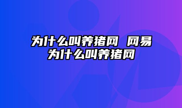 为什么叫养猪网 网易为什么叫养猪网
